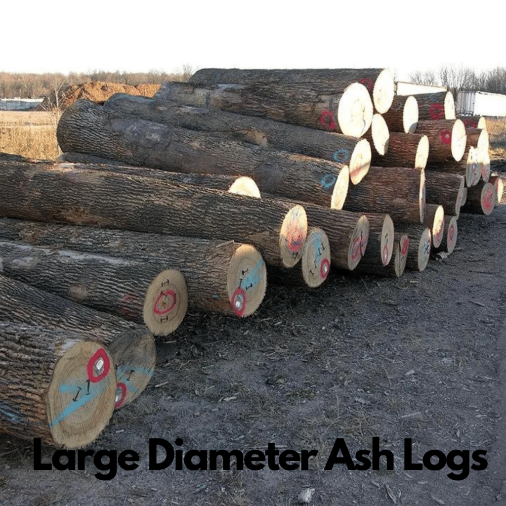 Ash Logs 2