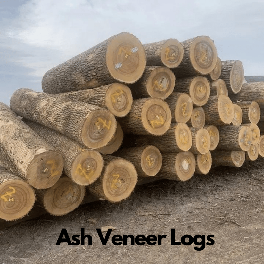 Ash Logs 7