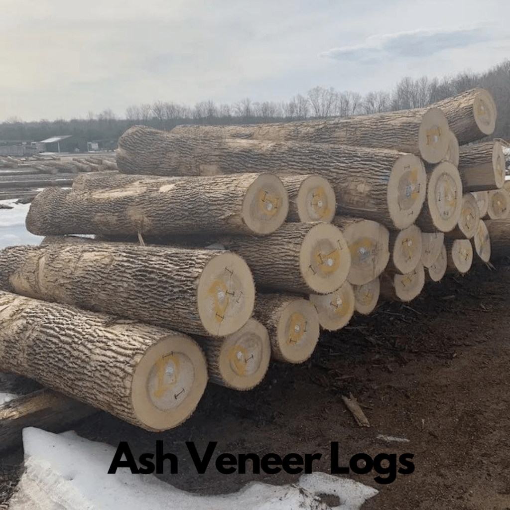 Ash Logs 8