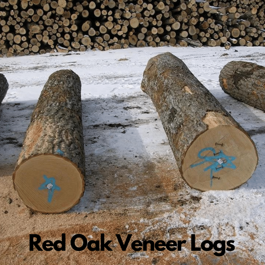 Red Oak Logs 1