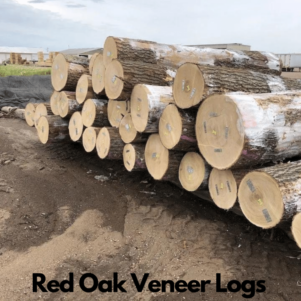 Red Oak Logs 10