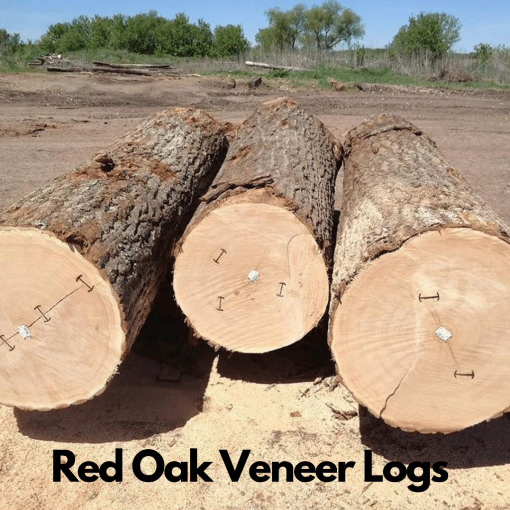Red Oak Logs 2