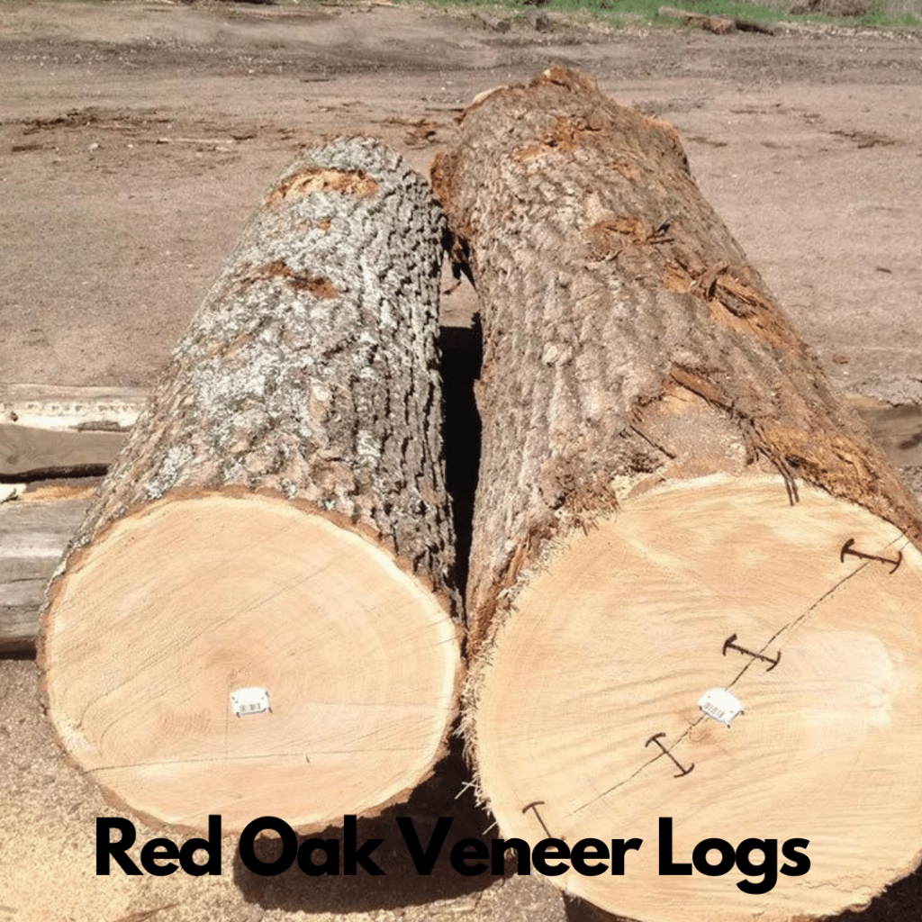 Red Oak Logs 3