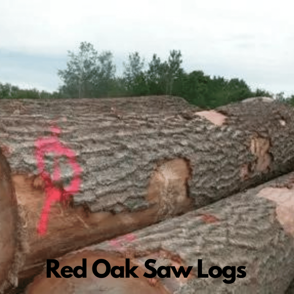 Red Oak Logs 4