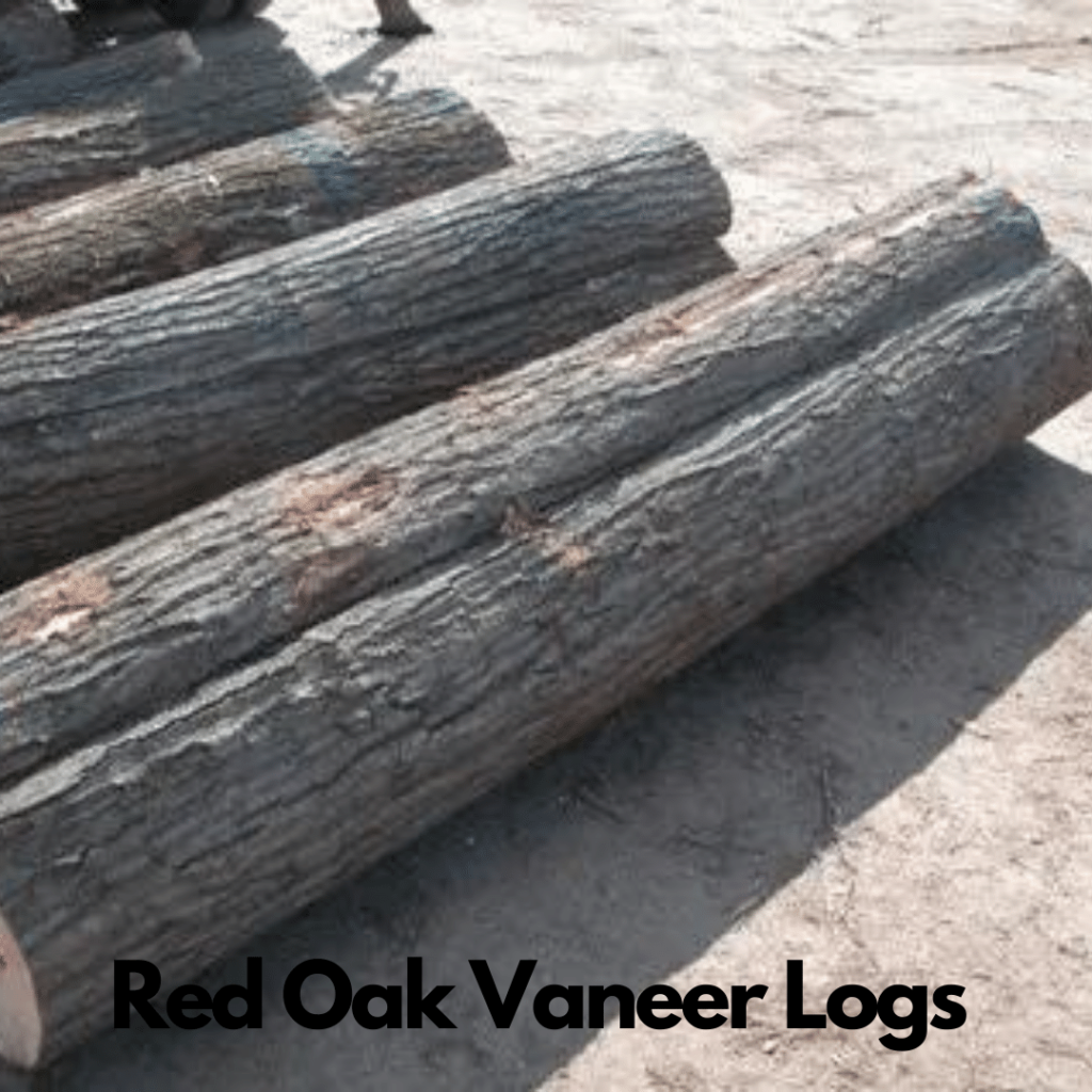 Red Oak Logs 5