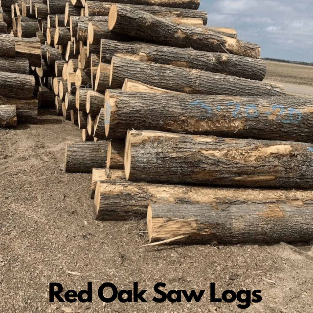 Red Oak Logs 7