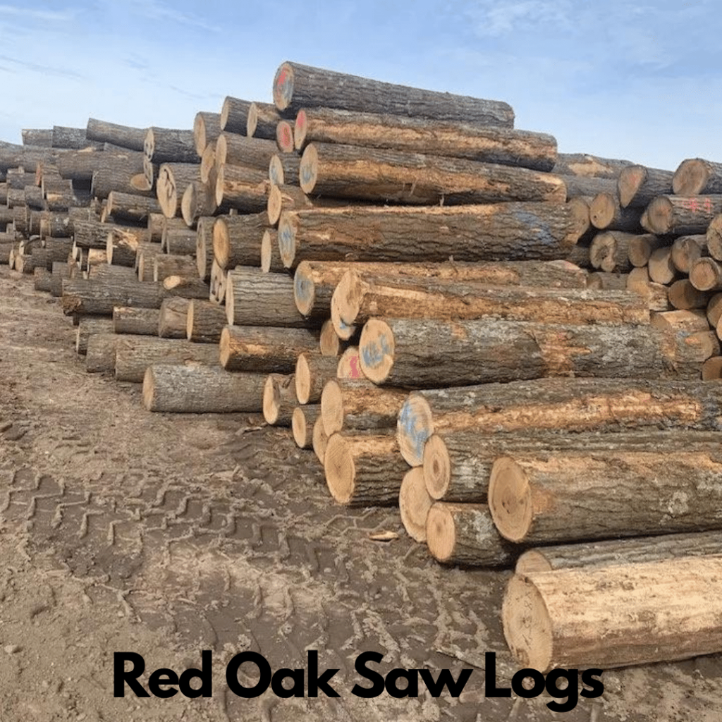 Red Oak Logs 8