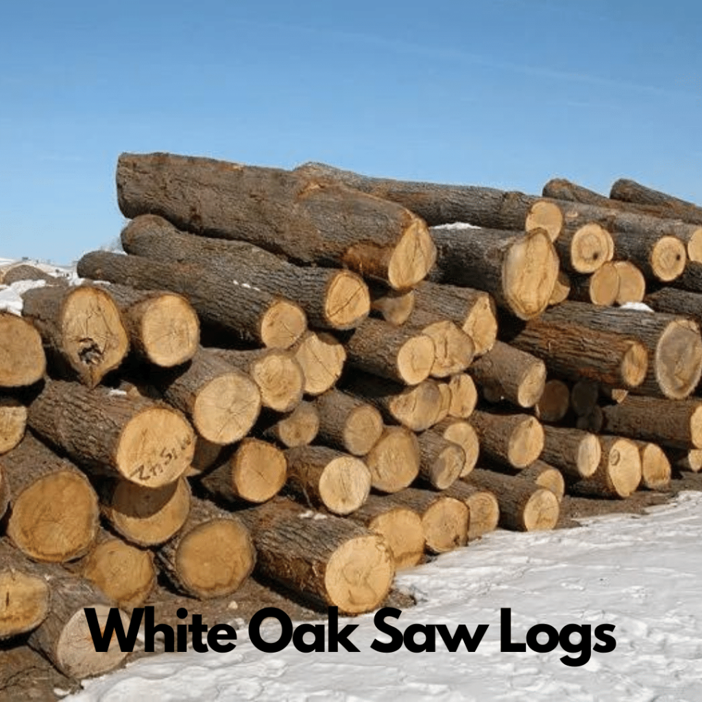 White Oak Logs 6