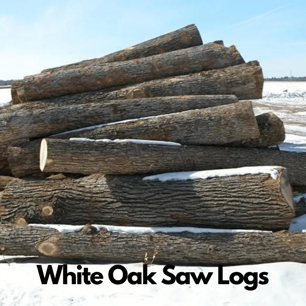 White Oak Logs 7