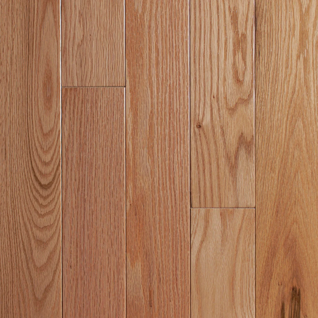 Close-up of red oak plank grain and natural color variation